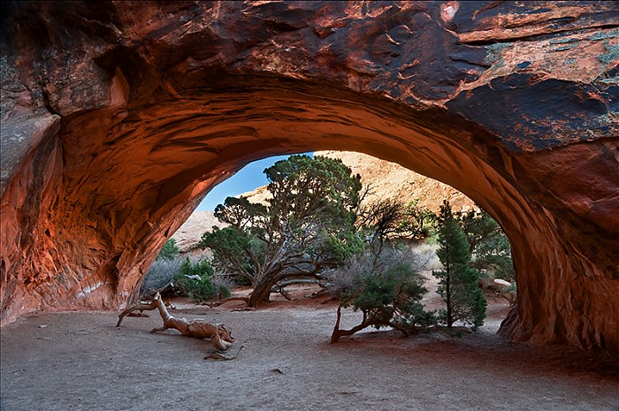 Navajo Arch