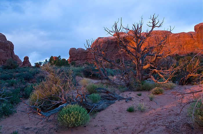 Arches