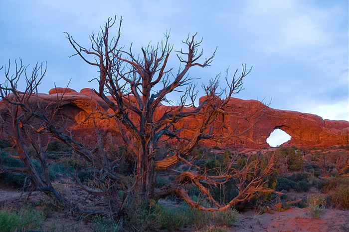 Arches